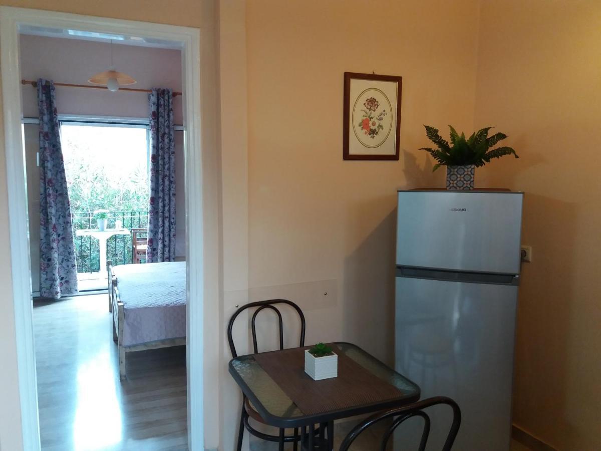 Alexandra Spingou Apartments Δασιά Εξωτερικό φωτογραφία
