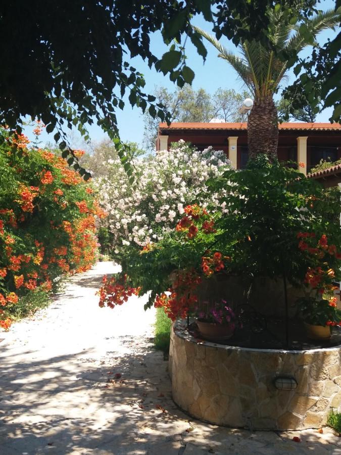 Alexandra Spingou Apartments Δασιά Εξωτερικό φωτογραφία