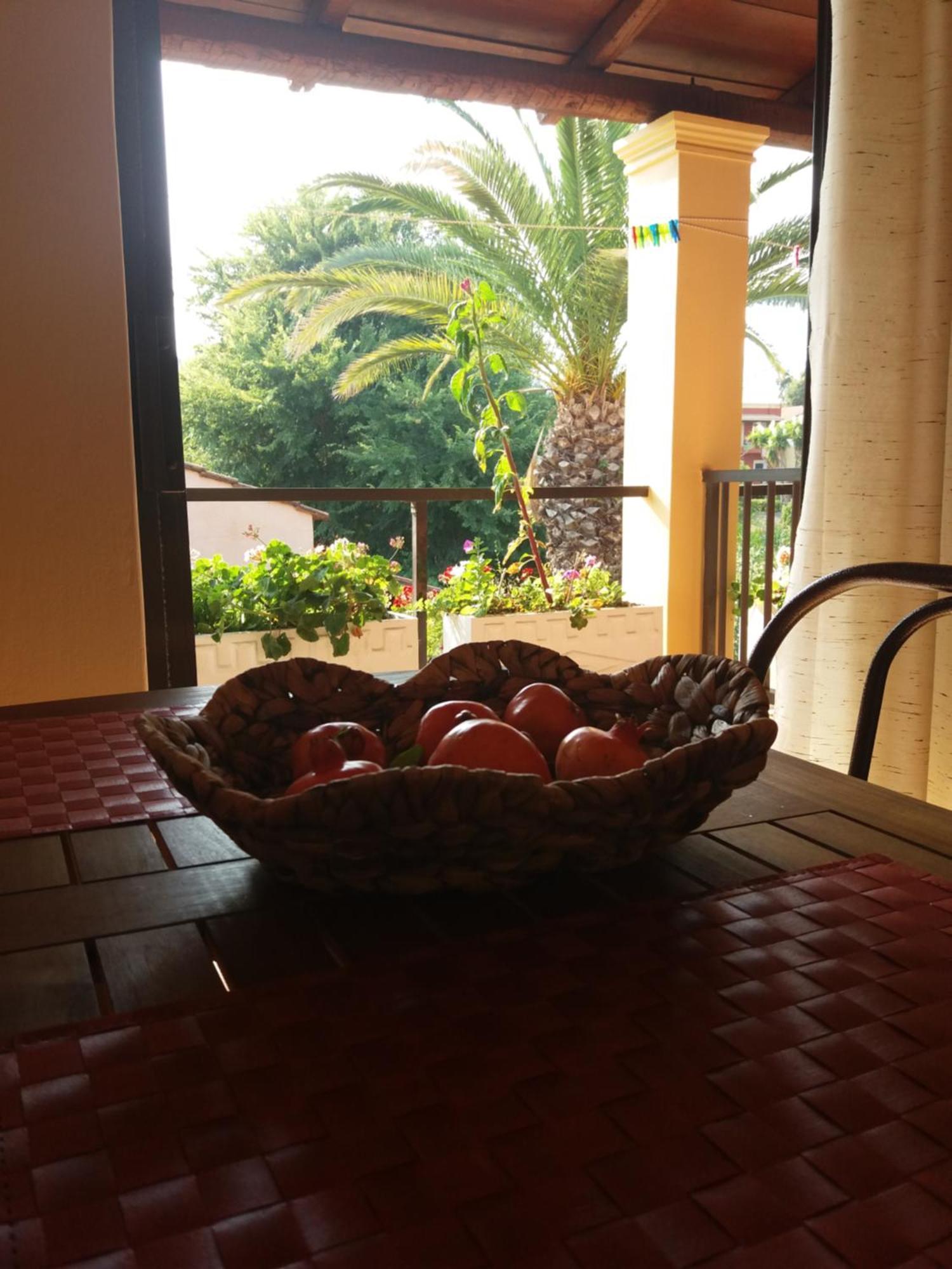 Alexandra Spingou Apartments Δασιά Εξωτερικό φωτογραφία